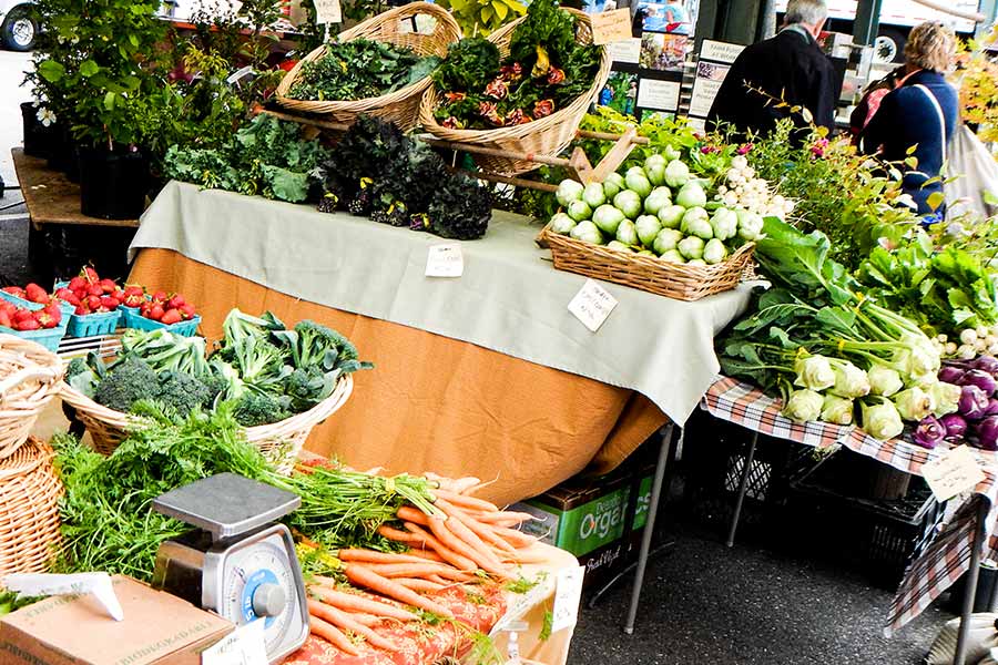 Cheryl-Sindell-Farmers-Market-1